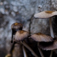 7 52 2152©JamesECockroft 20130525