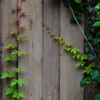 7 52 2194©JamesECockroft 20130525