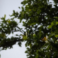 7 52 22Ohne Titel©JamesECockroft 20130526