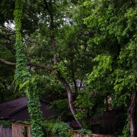 7 52 22after the rain©JamesECockroft 20130529