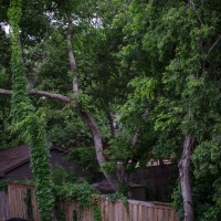 7 52 22before the rain©JamesECockroft 20130529