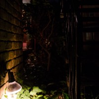 7 52 24mm28©JamesECockroft 20130612