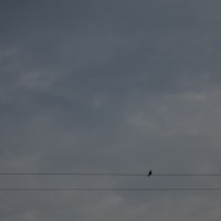 Downtown Grapevine 201326©JamesECockroft 20130615