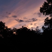 7 52 282©JamesECockroft 20130710