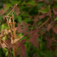 7 52 285©JamesECockroft 20130711