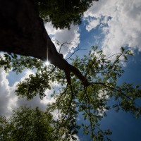 7 52 29 10mm15©JamesECockroft 20130718