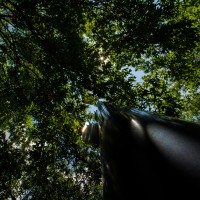 7 52 29 10mm20©JamesECockroft 20130719