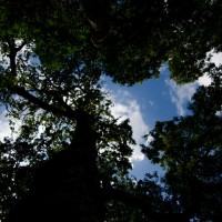 7 52 29 10mm5©JamesECockroft 20130716