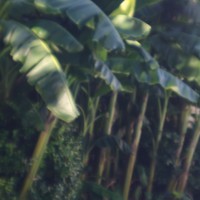 7 52 3113©JamesECockroft 20130806