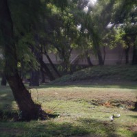 7 52 3124 nice place for a picnic ©JamesECockroft 20130808