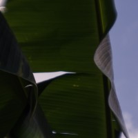 7 52 318©JamesECockroft 20130804