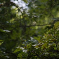 7 52 331©JamesECockroft 20130813