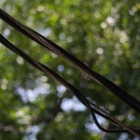 7 52 332©JamesECockroft 20130813