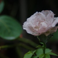 7 52 3341©JamesECockroft 20130814