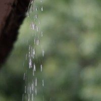 7 52 338©JamesECockroft 20130813