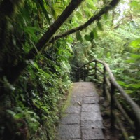 7 52 34 Costa Rica iPhoneOhne Titel©JamesECockroft 20130822