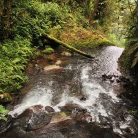 7 52 34 Costa Rica iPhoneOver the Falls©JamesECockroft 20130822