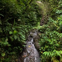 7 52 34 Costa Rica iPhonedead waterfall©JamesECockroft 20130822