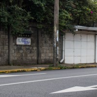 7 52 34 Costa RicaRat Boy gets up©JamesECockroft 20130822