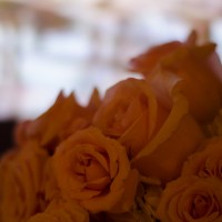 Wedding Day284©JamesECockroft 20130829