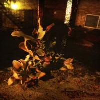 7 52 35 iPhone49©JamesECockroft 20130828