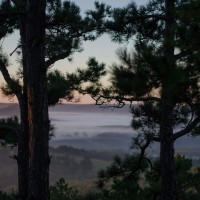 Eureka Honeymoon245©JamesECockroft 20130903