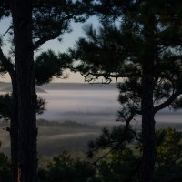 Eureka Honeymoon267©JamesECockroft 20130903