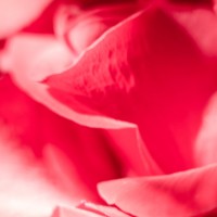 7 52 40100©JamesECockroft 20131004