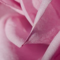 7 52 4047©JamesECockroft 20131002