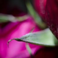 7 52 4084©JamesECockroft 20131004