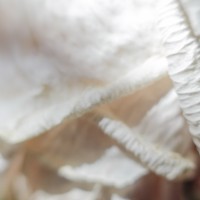 7 52 4085©JamesECockroft 20131004