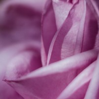 7 52 4090©JamesECockroft 20131004