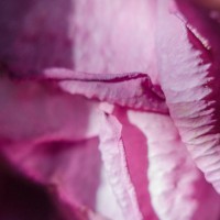 7 52 4099©JamesECockroft 20131004