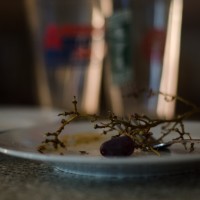 7 52 4219©JamesECockroft 20131019