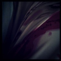 7 52 43 iPhone28©JamesECockroft 20131022