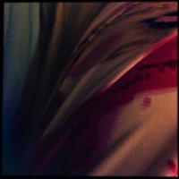 7 52 43 iPhone31©JamesECockroft 20131022