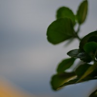 7 52 4332©JamesECockroft 20131026