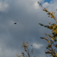 7 52 445©JamesECockroft 20131101