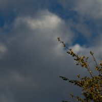 7 52 446©JamesECockroft 20131101