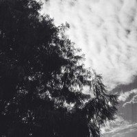 7 52 4516©JamesECockroft 20131106