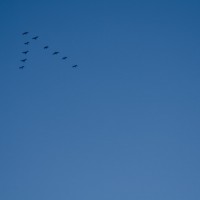 7 52 4628©JamesECockroft 20131110