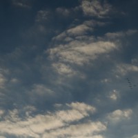 7 52 4632©JamesECockroft 20131110