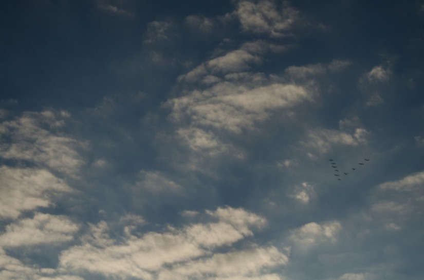 7 52 4632©JamesECockroft 20131110