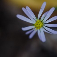 7 52 4710©JamesECockroft 20131121