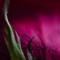 7 52 4719©JamesECockroft 20131122