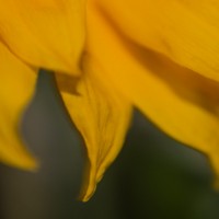 7 52 4722©JamesECockroft 20131122