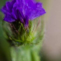 7 52 4723©JamesECockroft 20131122