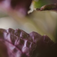 7 52 472©JamesECockroft 20131117