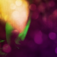 Diana 24©JamesECockroft 201312181