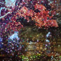 Diana App Review Pics 211©JamesECockroft 20140110